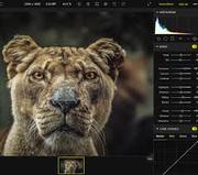 Background removal servicings website